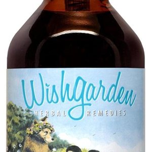 WishGarden Herbs Daily Immune for Kids – Fórmula diaria de apoyo inmunológico para niños, defensa inmunológica a base de hierbas y refuerzo del WishGarden Herbs Daily Immune for Kids – Fórmula diaria de apoyo inmunológico para niños, defensa inmunológica a base de hierbas y refuerzo del