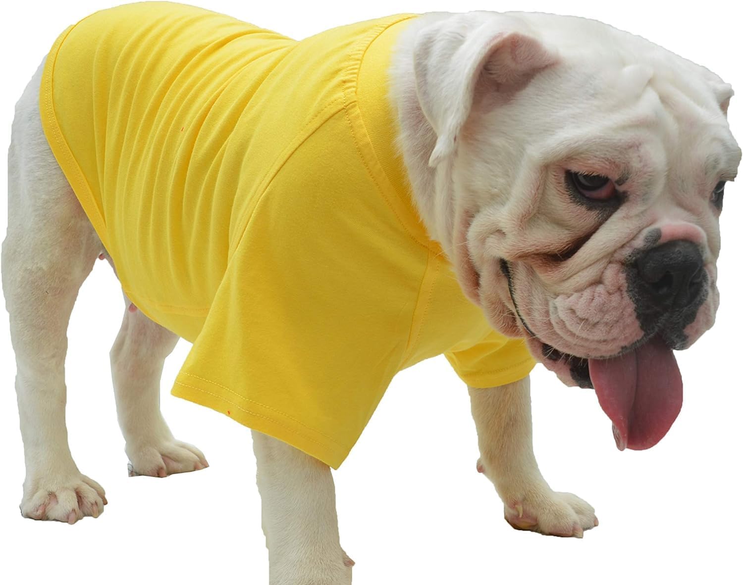 Lovelonglong 2019 – Ropa para mascotas, Disfraces para Perro, Ropa Camisetas en blanco para Perros Grande Medianos Pequeños 100% Algodón 18 Colores,