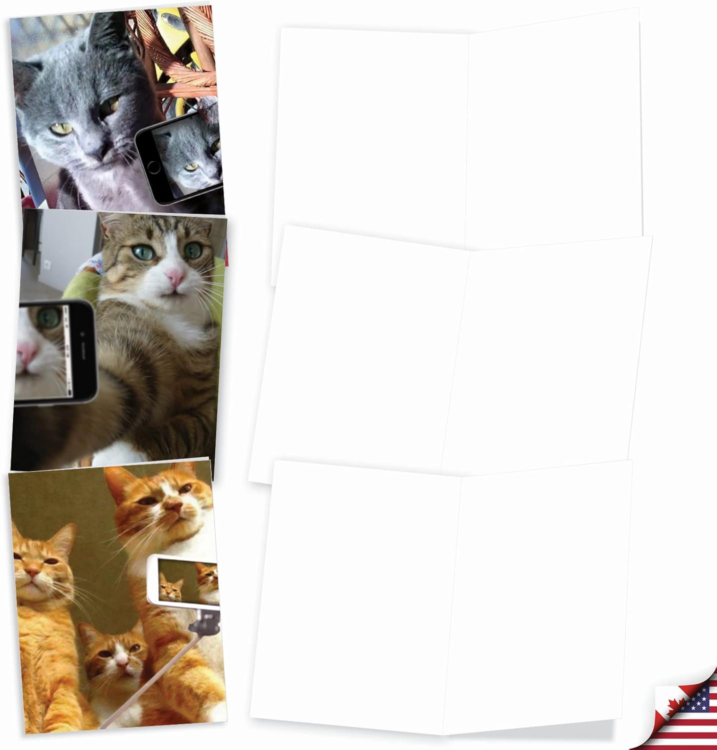 The Best Card Company – Tarjetas de animales en blanco en caja, 4 x 5.12 pulgadas, mascotas surtidas, zoológico, tarjetas de vida silvestre para
