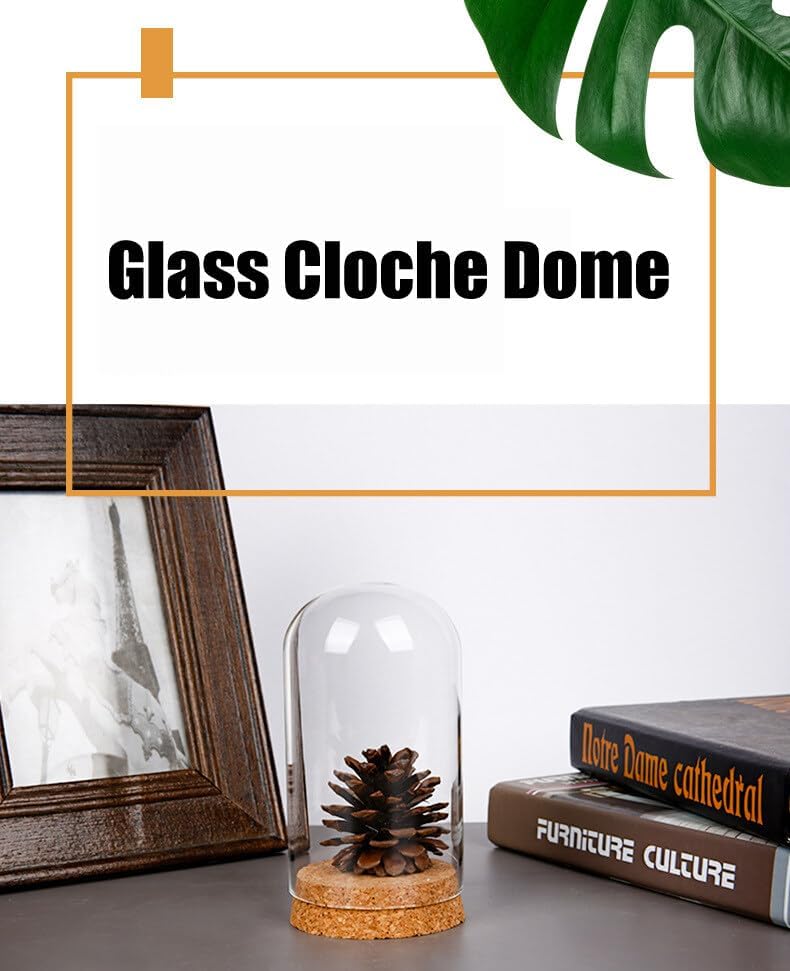 12PCS Mini Glass Dome Cloche Decorative Bell Jar with Cork Base for Flower Snad Storage Home Wedding Party Favors Arts and Small Projects 3x4cm
