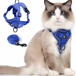Juego de arnés y correa para gato, chaleco ajustable a prueba de escapes mejorado con correa para gatito cachorro caminar al aire libre, chaqueta de Juego de arnés y correa para gato, chaleco ajustable a prueba de escapes mejorado con correa para gatito cachorro caminar al aire libre, chaqueta de