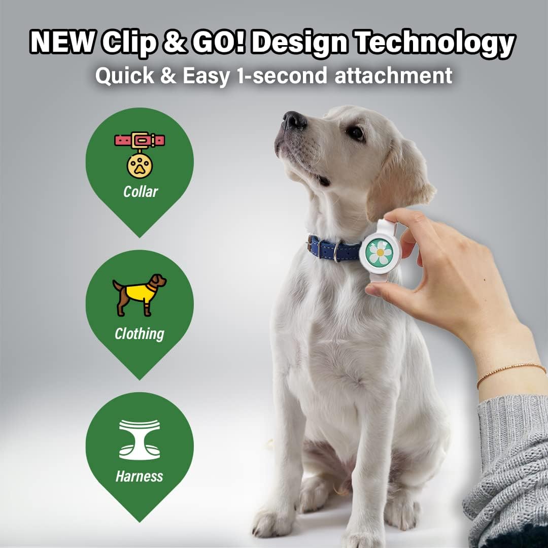 KN FLAX – Clip de insecto para perros, repele pulgas, garrapatas y mosquitos durante 60 días, collar repelente de pulgas y garrapatas natural