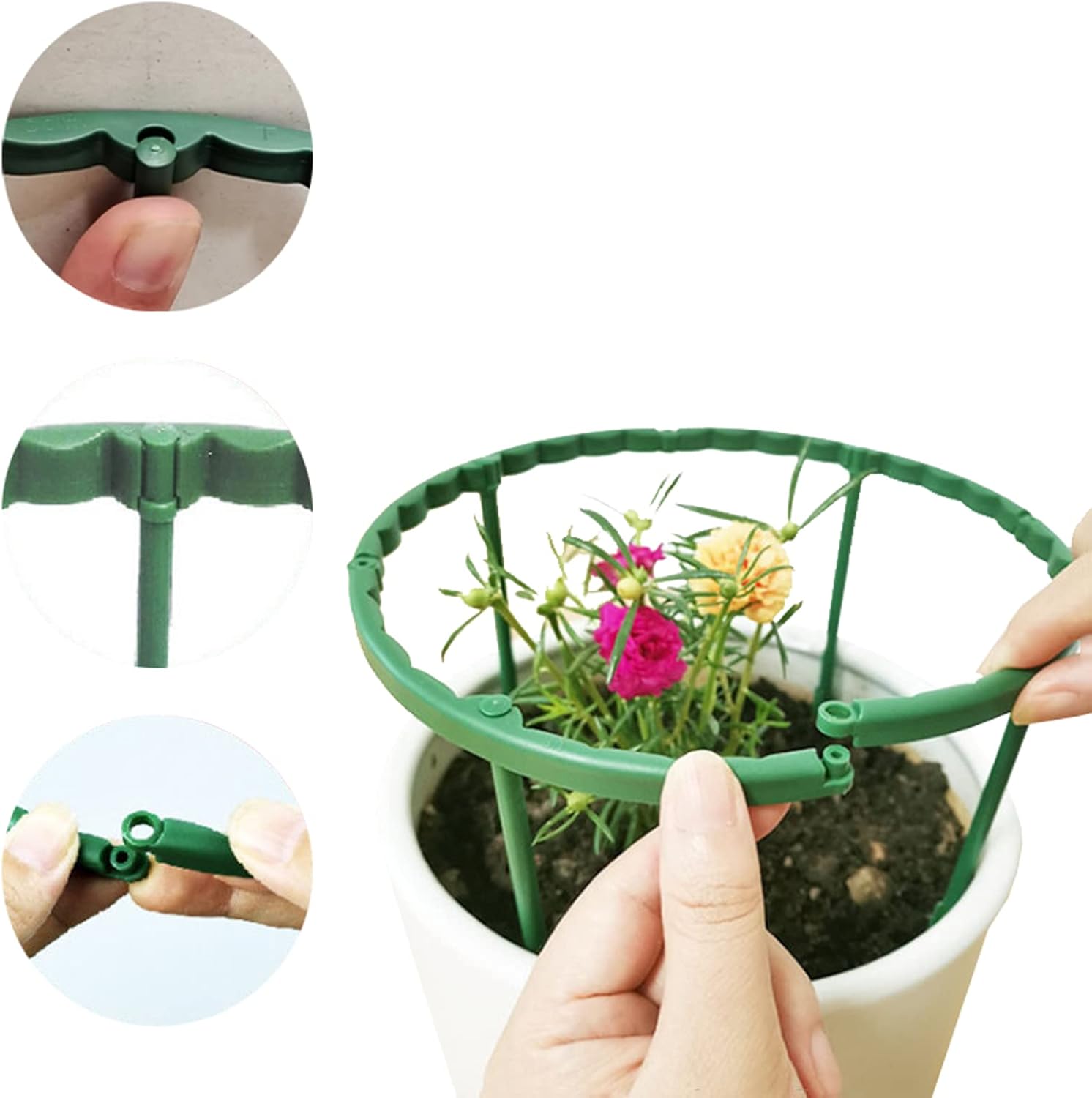 Soporte para plantas de interior y exterior, soporte para plantas pequeñas, medio redondo para plantas en maceta, estacas de plástico con 20 clips
