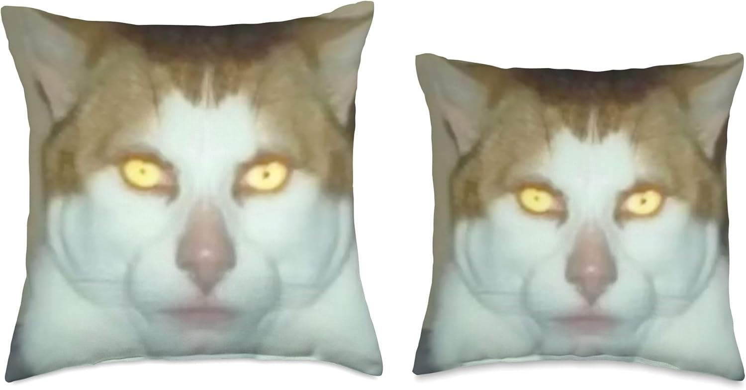Meme Monday Left Me Broken Cat Costume Monday Left Me Broken Cat – Almohada (16 x 16 pulgadas), multicolor