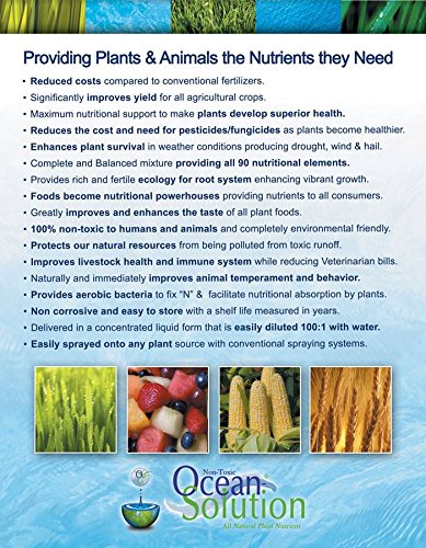 Ocean Solution 2-0-3 – Alimento vegetal – Fertilizante orgánico líquido para jardines, paisajes, hidroponía (concentrado de fertilizante mineral