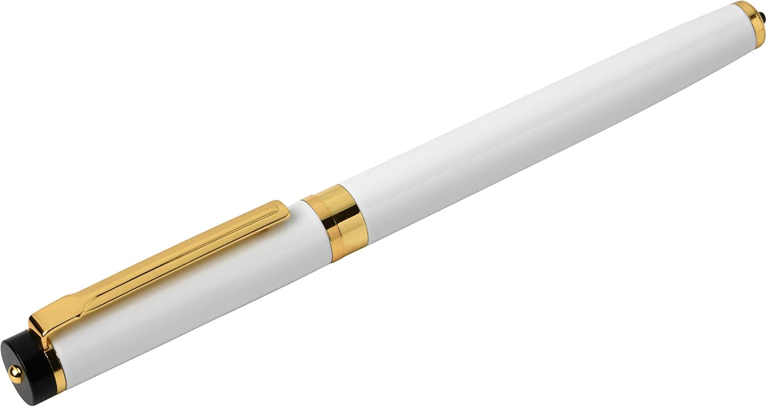 Dryden Designs Pluma estilográfica, punta media y fina, incluye 24 cartuchos de tinta y convertidor de recarga de tinta, bolígrafo de caligrafía,