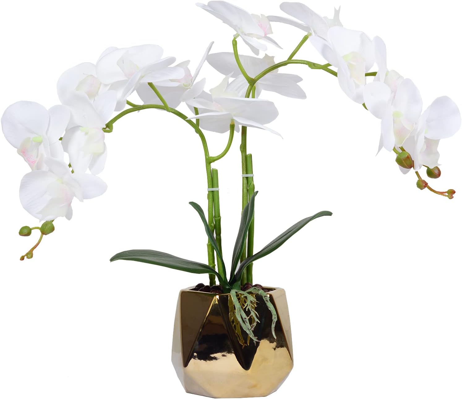 W&W Arreglo de plantas y flores de orquídeas artificiales en maceta de cerámica, orquídea blanca falsa con jarrón dorado, orquídeas falaenopsis