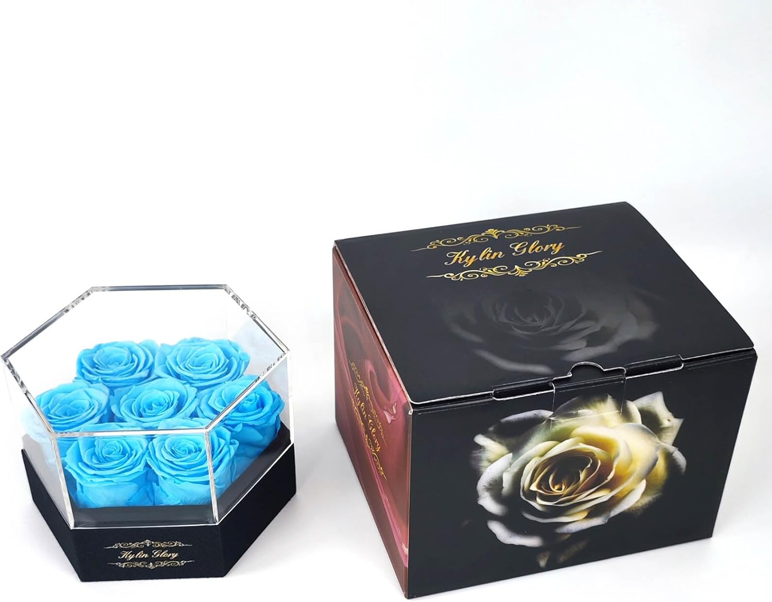 Kylin Glory Rosas preservadas con cubierta acrílica hexagonal, 7 piezas Forever Flowers, frescura visible, perfectas para regalos del día de la