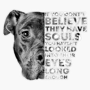 Pitbull Soul Dog Lovers – Adhesivo de vinilo para parachoques de 5 pulgadas Pitbull Soul Dog Lovers – Adhesivo de vinilo para parachoques de 5 pulgadas