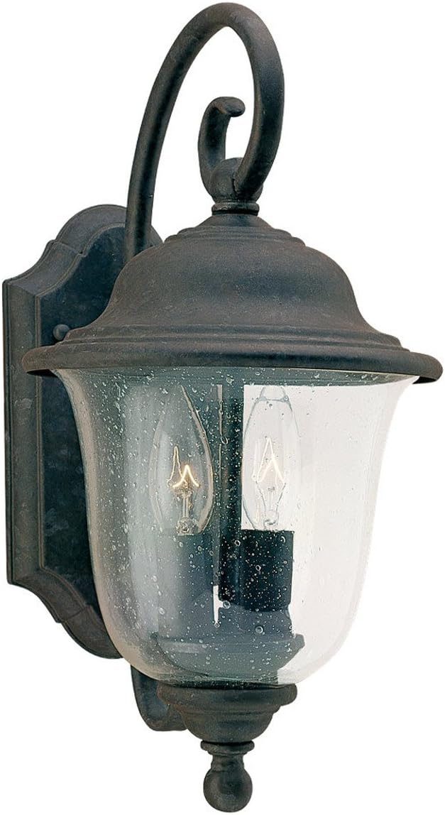 Sea Gull Lighting 8459-46 Trafalgar – Farol de pared para exteriores con pantalla de vidrio sembrado transparente, acabado de bronce oxidado