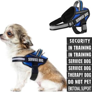 Animire in Training – Juego de arnés y parches para perro, arnés para perro con 8 parches para perros, chaleco reflectante con asa para perros Animire in Training – Juego de arnés y parches para perro, arnés para perro con 8 parches para perros, chaleco reflectante con asa para perros