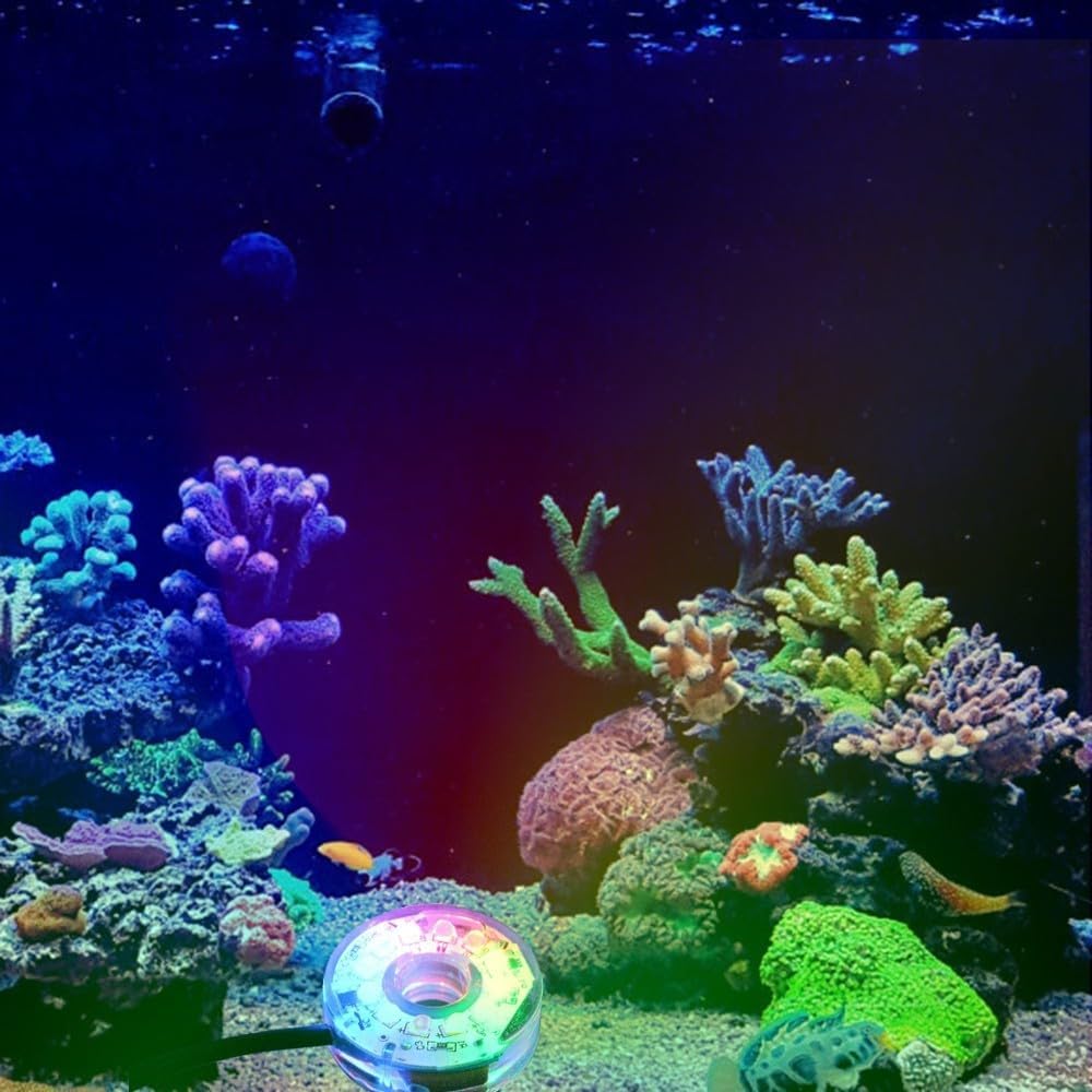 MiOYOOW Luz LED para acuario, luz LED sumergible colorida impermeable USB luz subacuática para acuario pecera