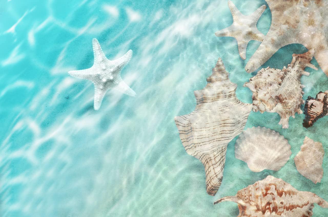 Alfombra de área con diseño de playa y estrellas de mar para dormitorio, sala de juegos, sala de estar, lavable, suave y bonita, alfombra de comedor
