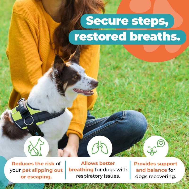 Joyride Harness Arnés para mascotas sin tirones con etiqueta de nombre personalizable, logotipo que brilla en la oscuridad, 3 anillos laterales para