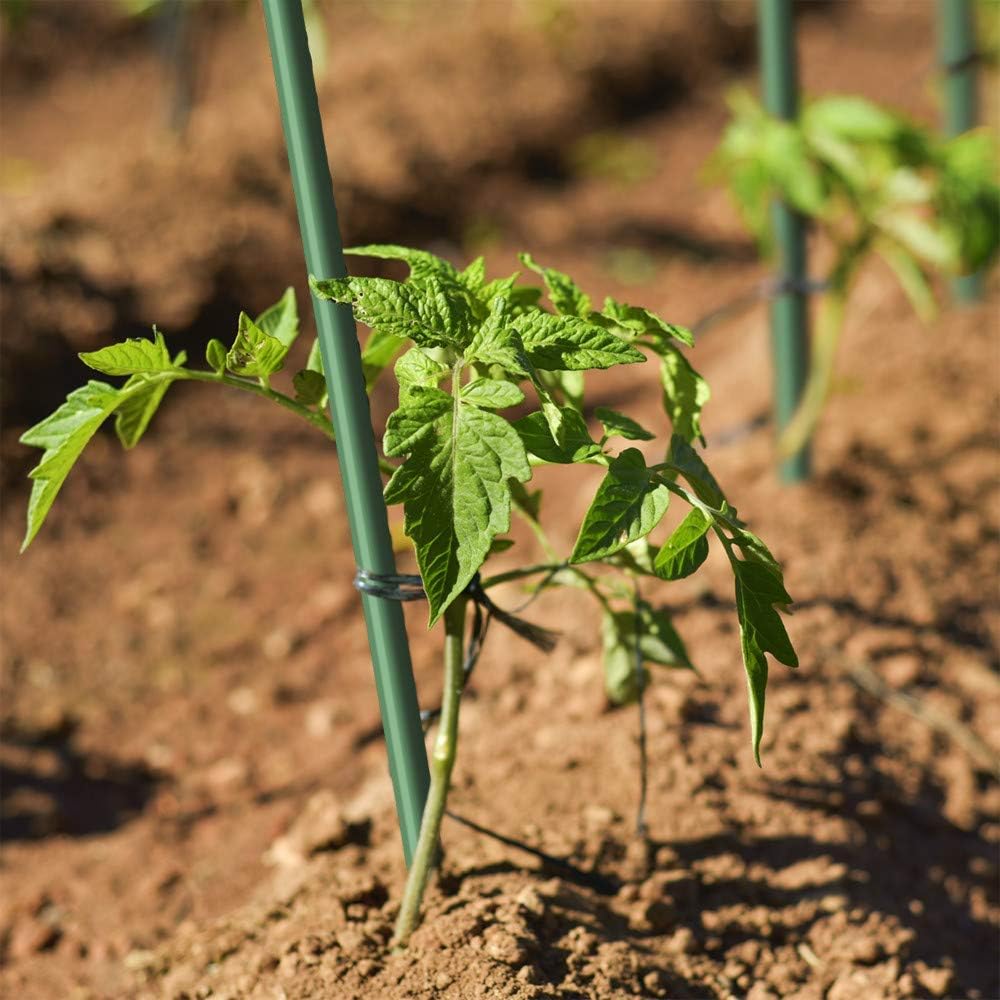 Estacas de jardín de 5 pies para plantas trepadoras, soporte para poste, paquete de 10 palos de plantas inoxidables para postes de valla