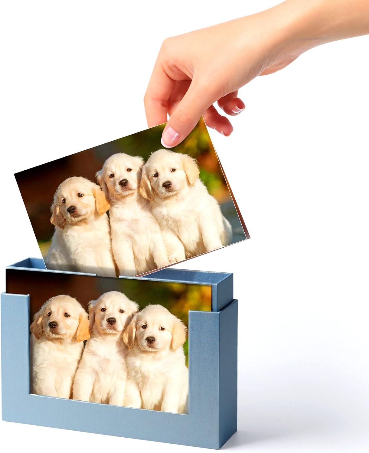 Aiuonenian Cajas de fotos de cartón para fotos de 5 x 7 pulgadas, juego de cajas de almacenamiento de fotos familiares, caja de álbum de fotos, caja