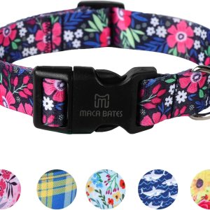 Maca Bates – Collar de primavera para perro con diseño de flores, para niñas y niños, hembra, macho, para Perros, Chihuahua, Pitbull, regalo de Maca Bates – Collar de primavera para perro con diseño de flores, para niñas y niños, hembra, macho, para Perros, Chihuahua, Pitbull, regalo de