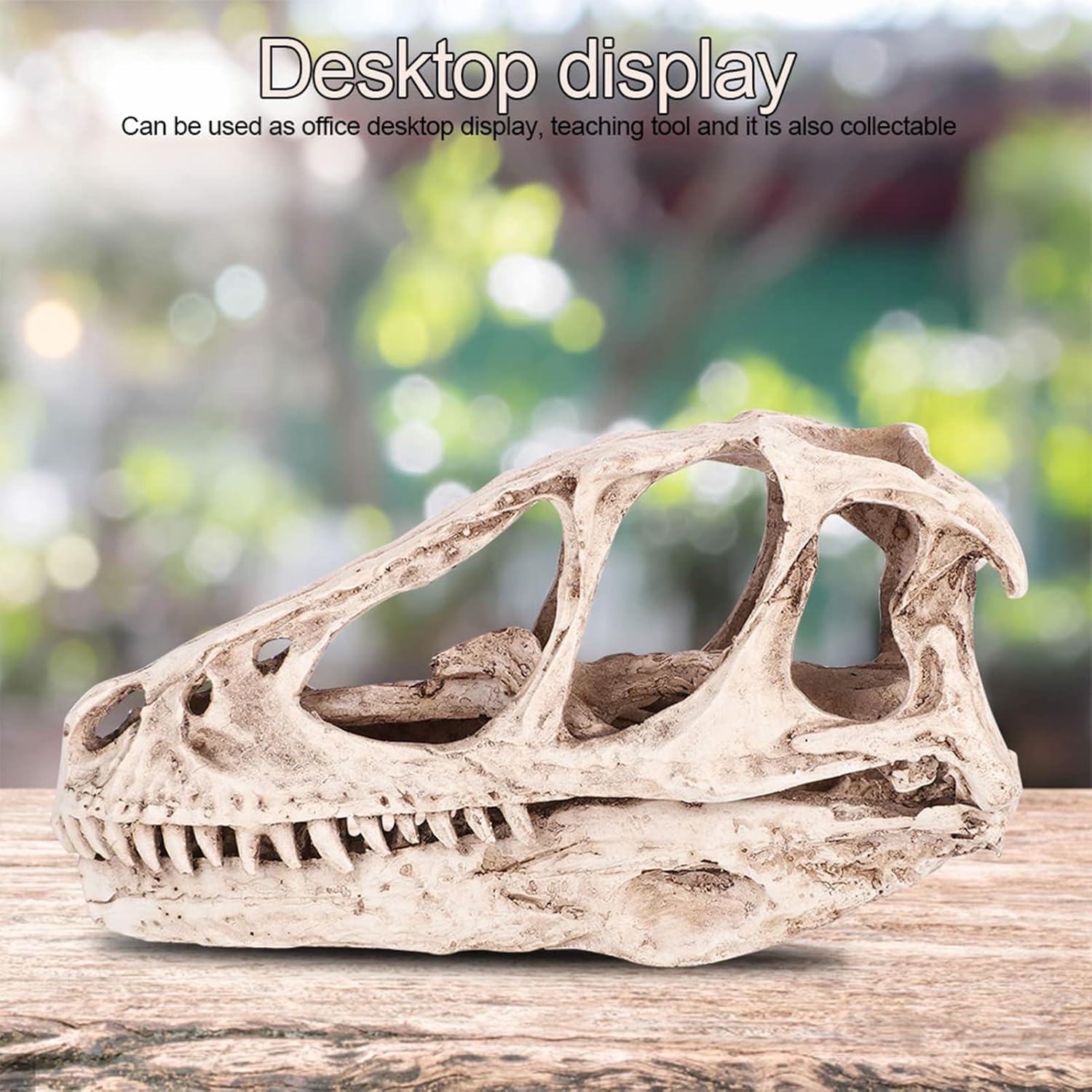 TOPINCN Modelo de calavera de dinosaurio, esqueleto de animal simulado, realista y vívido, perfecto para decoración de oficina en casa, accesorio de
