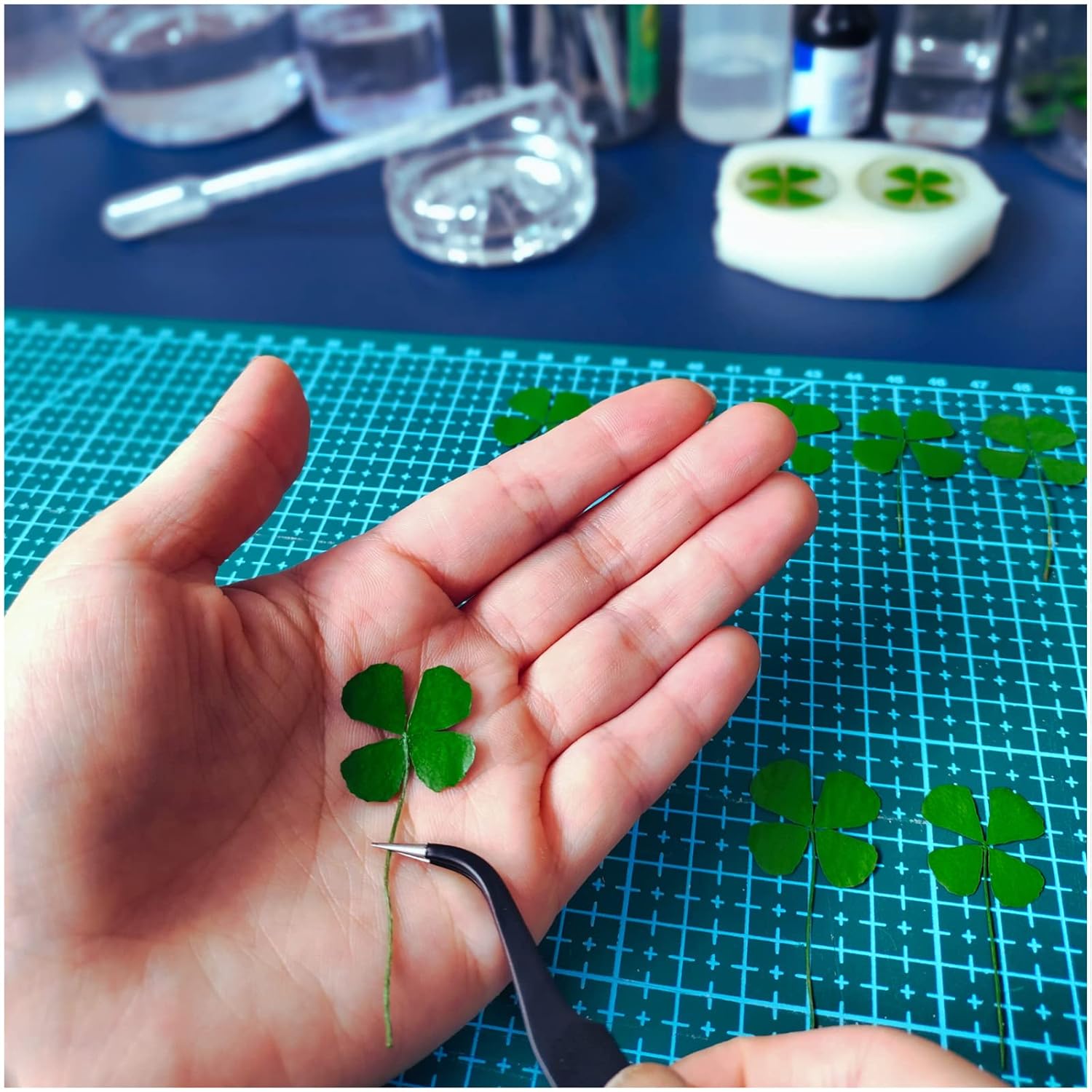 1 Pair Real Four Leaf Clover with Metals Magic Ornaments – Lucky Charms Lucky Coin, Moon Sun Star Good Luck Gift for Friends Family