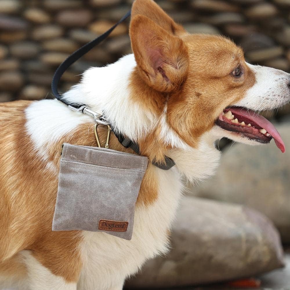 Bolsa de golosinas para perros, bolsa de entrenamiento para perros y cachorros, bolsa de entrenamiento manos libres, incluye mosquetón, para viajes