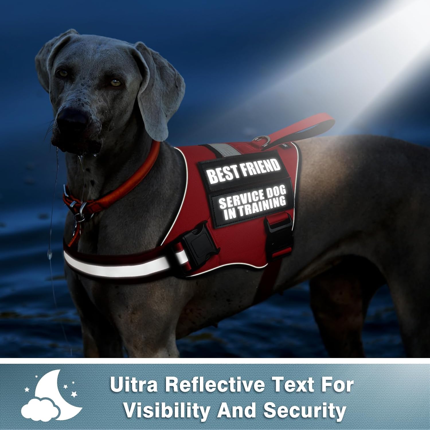 WINSEE Parches reflectantes para perros de servicio, parche de terapia para arnés de perro de servicio (paquete de 2, L)