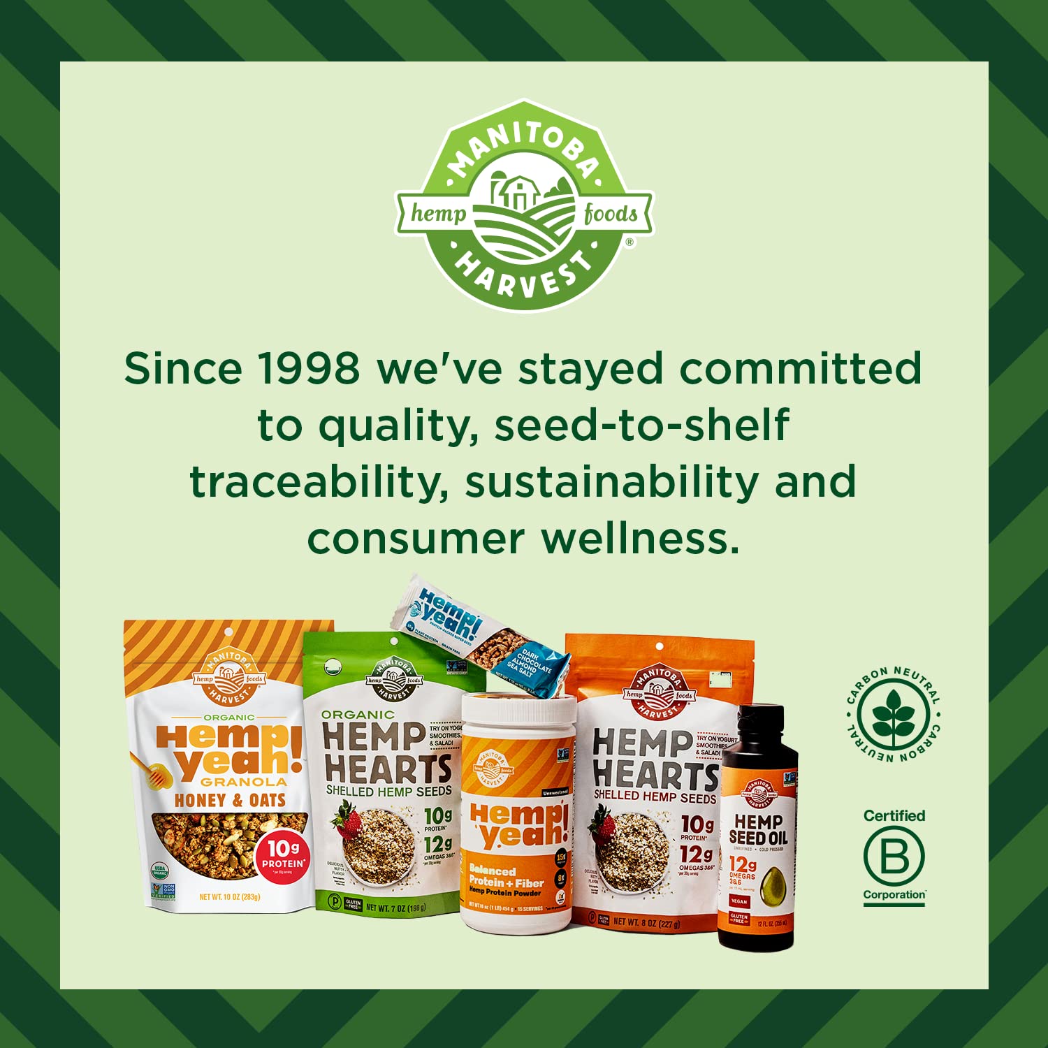 Manitoba Harvest Polvo orgánico de cáñamo y superverdes, 7.5 onzas, superalimento verde en polvo con 0.23 onzas de proteína, 0.11 onzas de fibra por