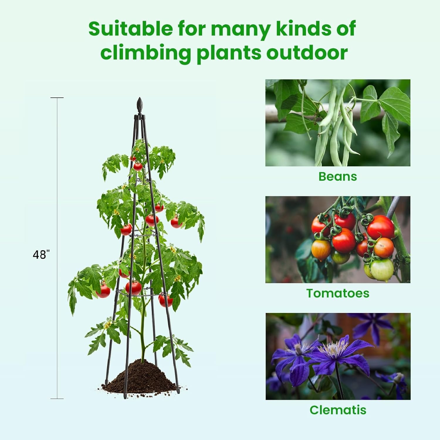Enrejado de jardín para plantas trepadoras al aire libre, enrejado de plantas de 4 pies de alto con brazos de estaca ajustables de 3 niveles para