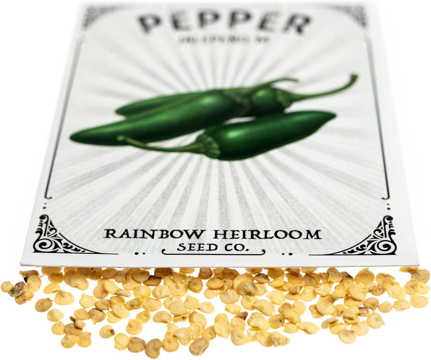 Semillas de pimiento para plantar  Variedad Jalapeño M  Semillas sin OMG y reliquia  Paquete de semillas con instrucciones de cultivo por Rainbow