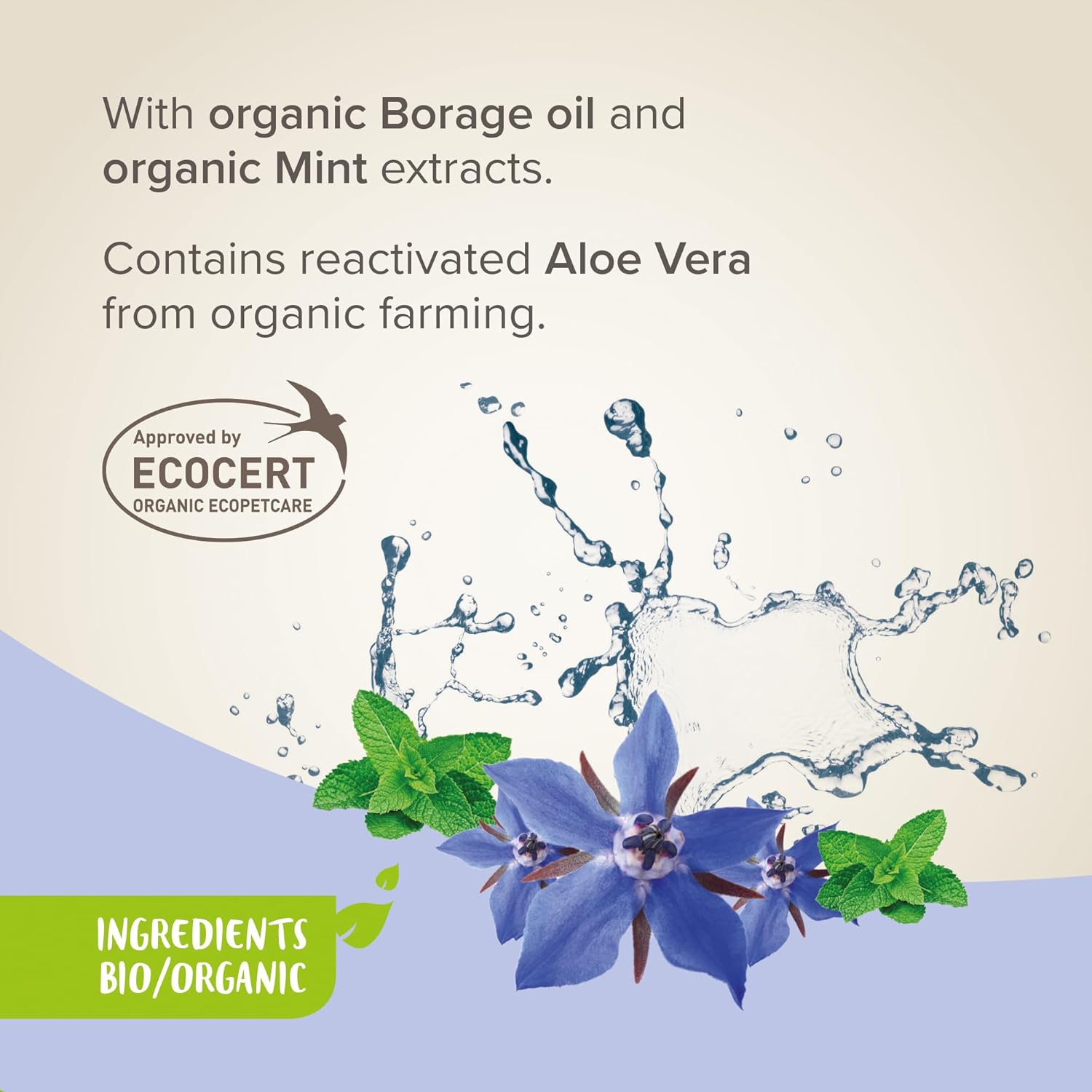 BEAPHAR Aerosol desenredante etiquetado ECOCERT para perros y gatos – Fabricado en Francia – Contiene aloe vera, aceite de borraja y menta orgánica