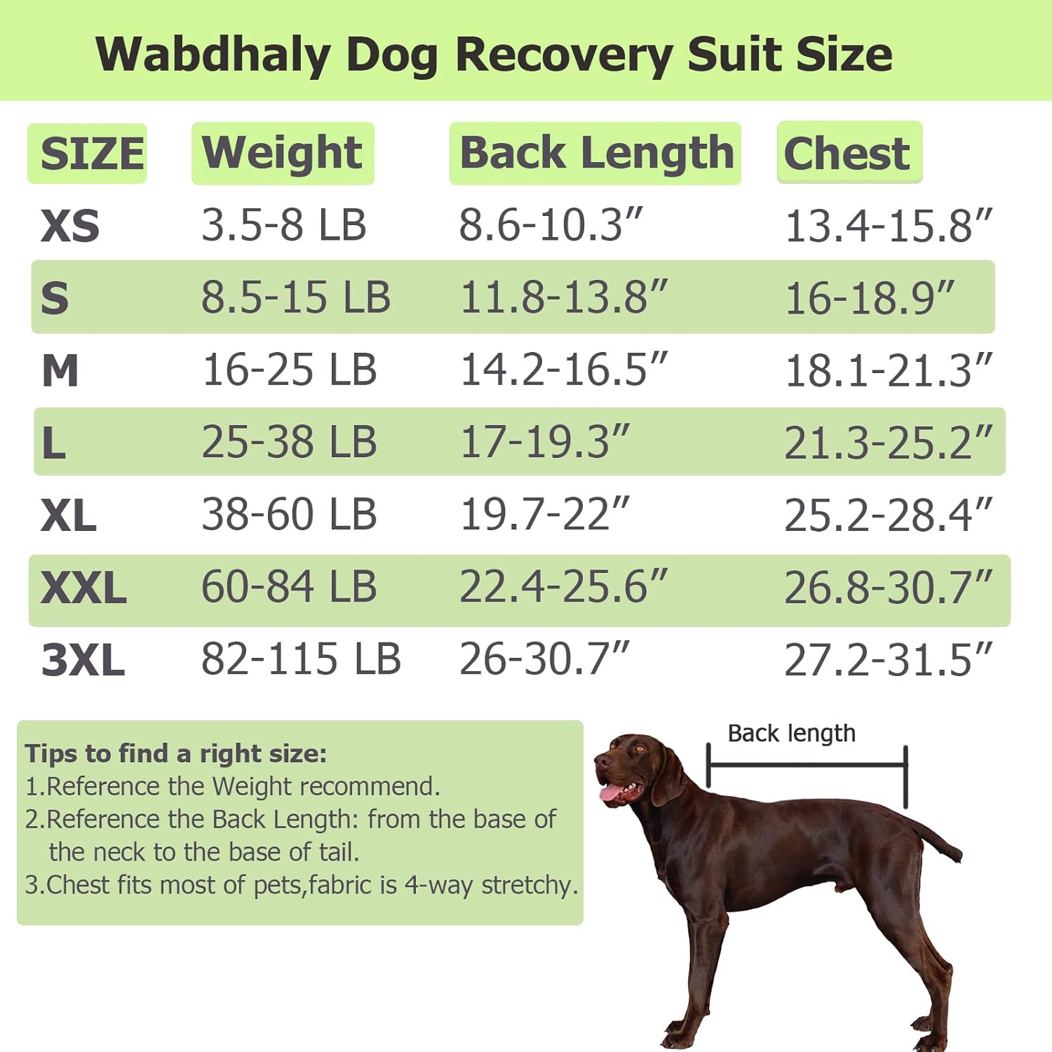 Wabdhaly Traje de recuperación de cirugía para perros, traje pequeño para hembras esterilizadas, machos, perros castrados, cachorros, recuperación