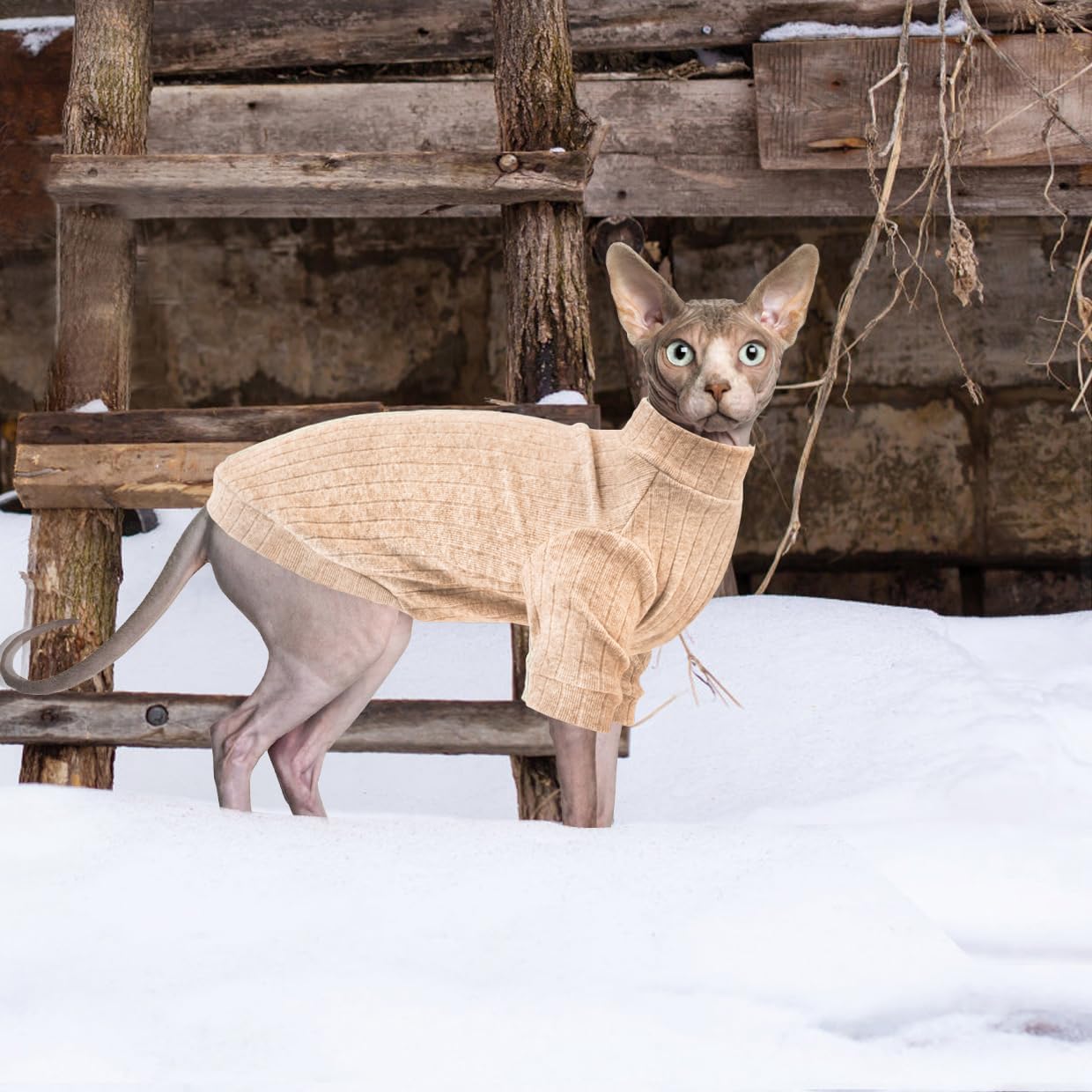 Idepet Sphynx Suéter de gatos sin pelo, ropa suave para cachorros, lindo pijama de gato, ropa de algodón para mascotas, cuello alto de invierno para