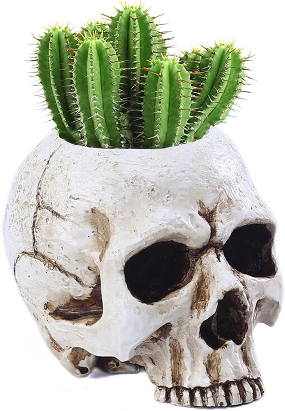 2 portavelas de calavera, candelabros de esqueleto, espeluznantes, decoración gótica, candelabros de resina, manualidades para Halloween, Navidad,