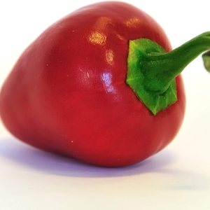 Semillas de pimiento Sweet Pimento L, sin OMG, 0.04 oz, aproximadamente 140 semillas Semillas de pimiento Sweet Pimento L, sin OMG, 0.04 oz, aproximadamente 140 semillas