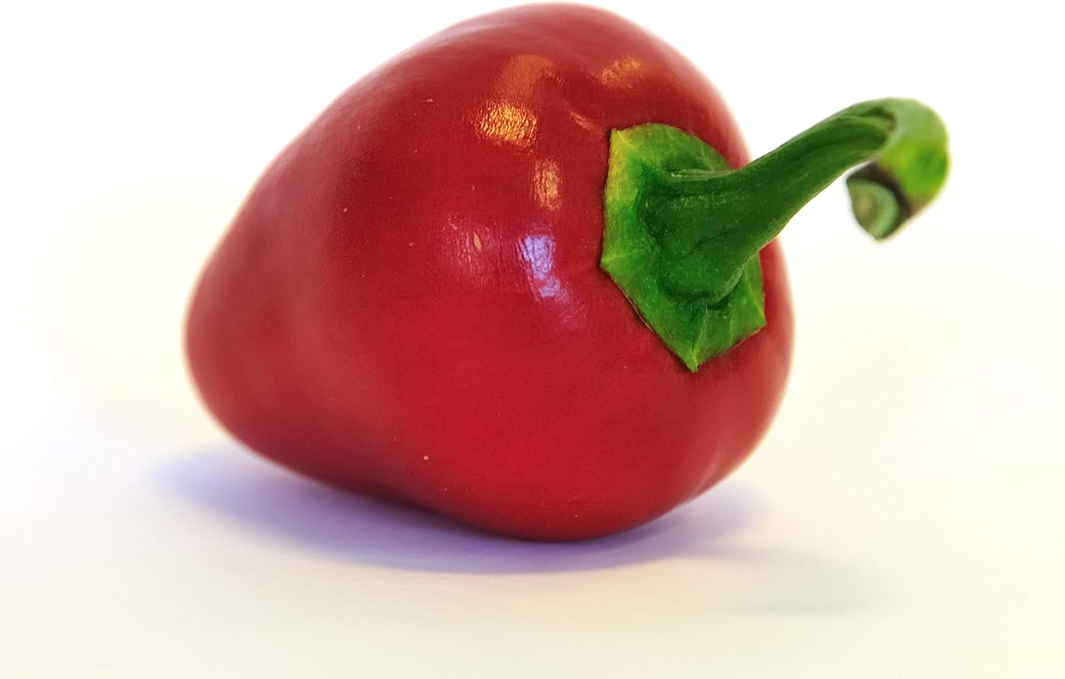 Semillas de pimiento Sweet Pimento L, sin OMG, 0.04 oz, aproximadamente 140 semillas