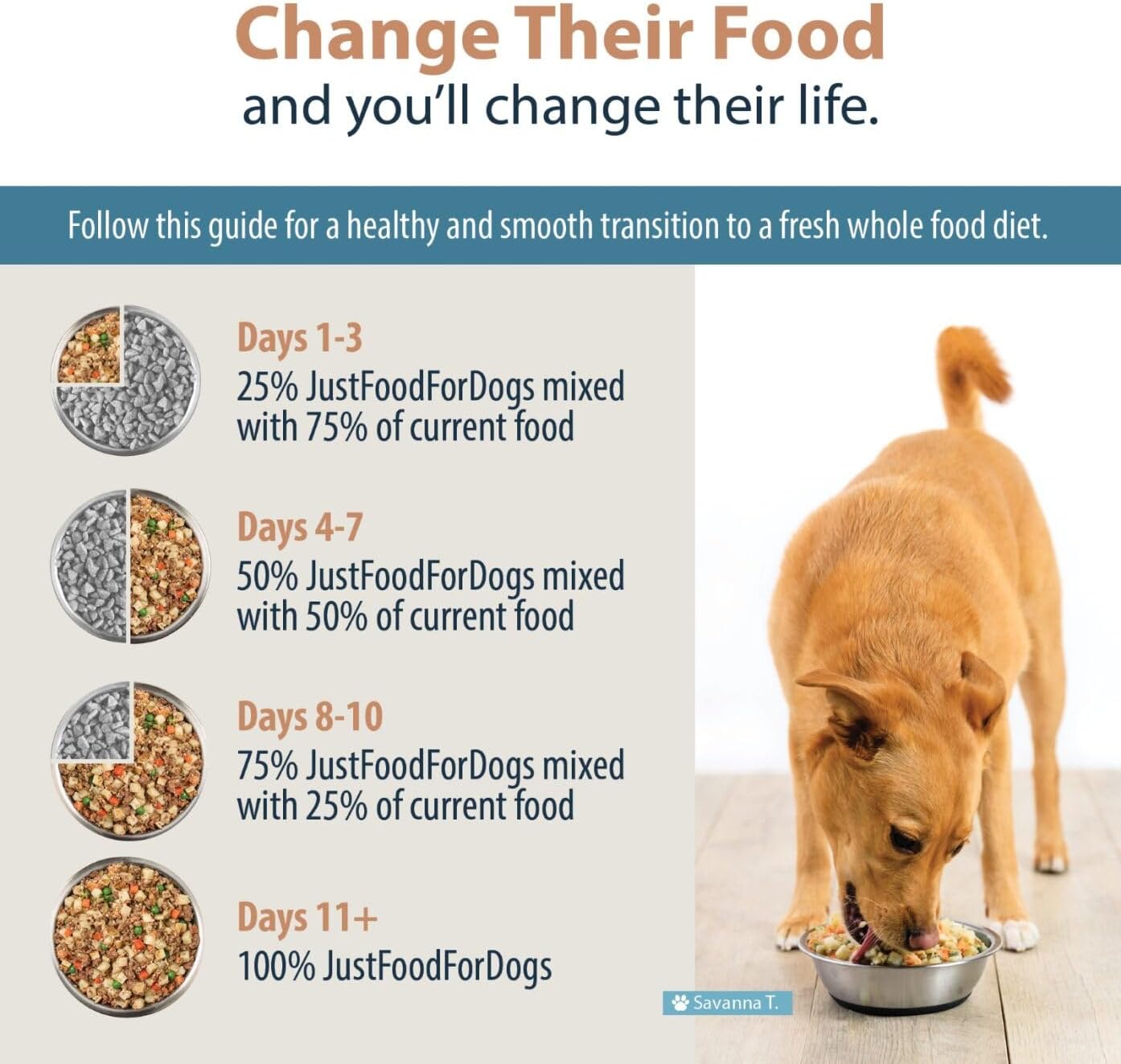 JustFoodForDogs Alimento fresco congelado para perros, comida completa o alimento para perros, receta de alimento humano de carne de res y patata