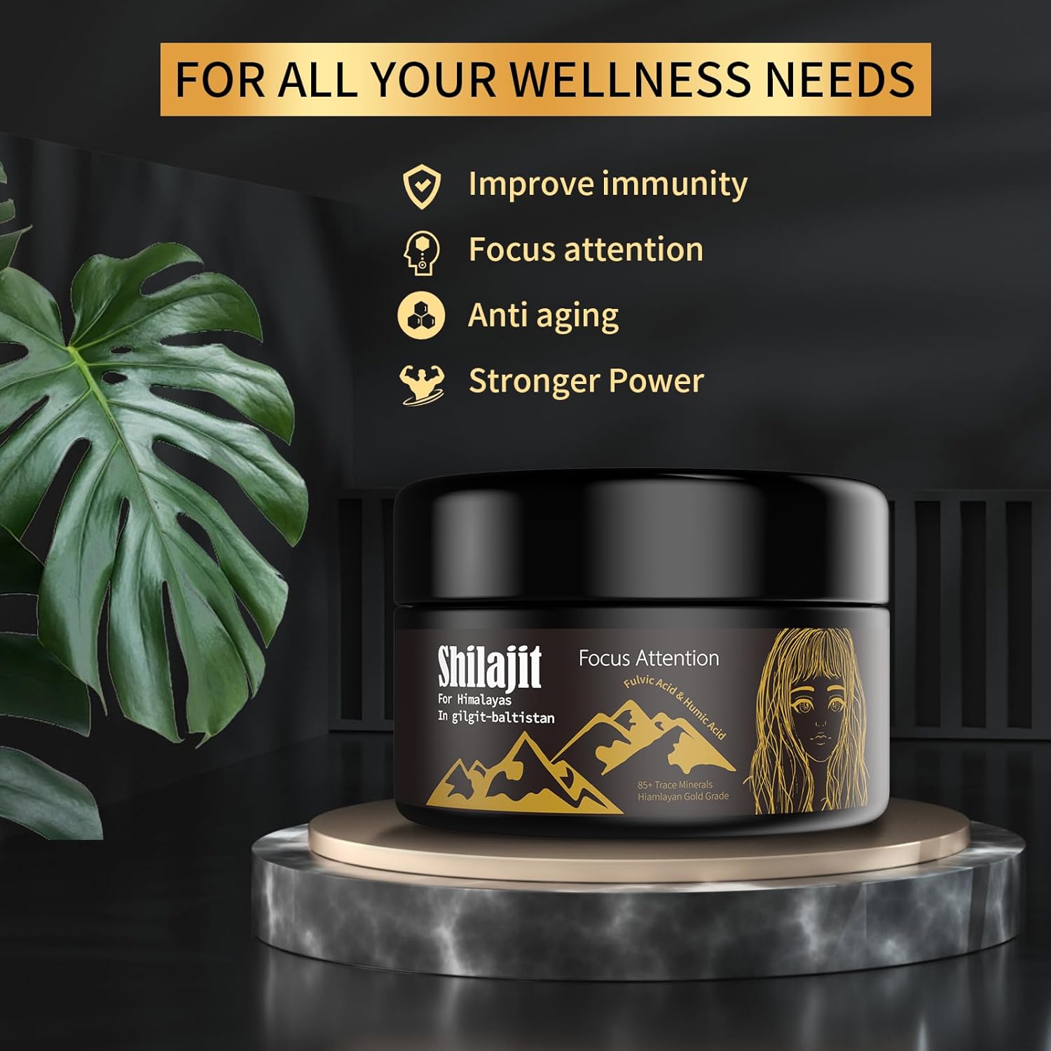 2 paquetes de resina Shilajit con ácido fúlvico y oligominerales, Shilajit siberiano original con 85+ gel de suplemento de ácido húmico, apoya el