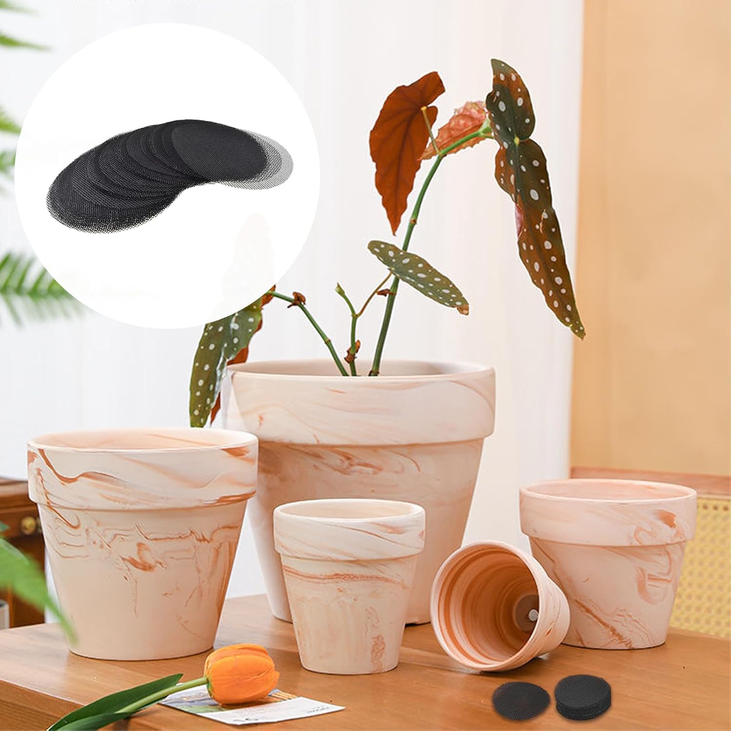 Almohadilla de malla para agujero de maceta, malla de rejilla inferior de maceta de bonsái, 2 pulgadas para plantas de flores suculentas,