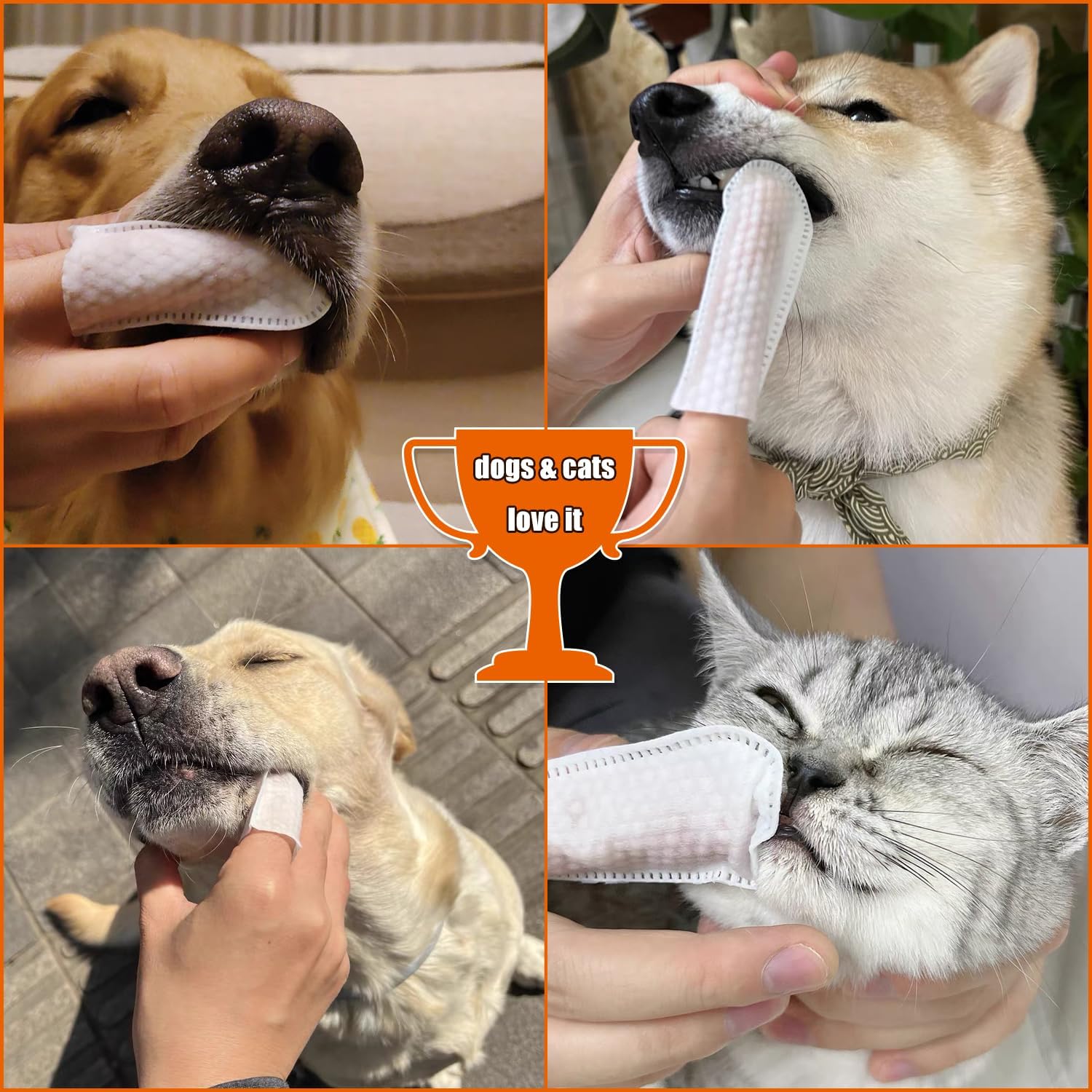 GS GLOWSEEN Toallitas limpiadoras de oídos para perros y gatos, 50 unidades, toallitas desechables para dientes de perro, kit de aseo para mascotas,
