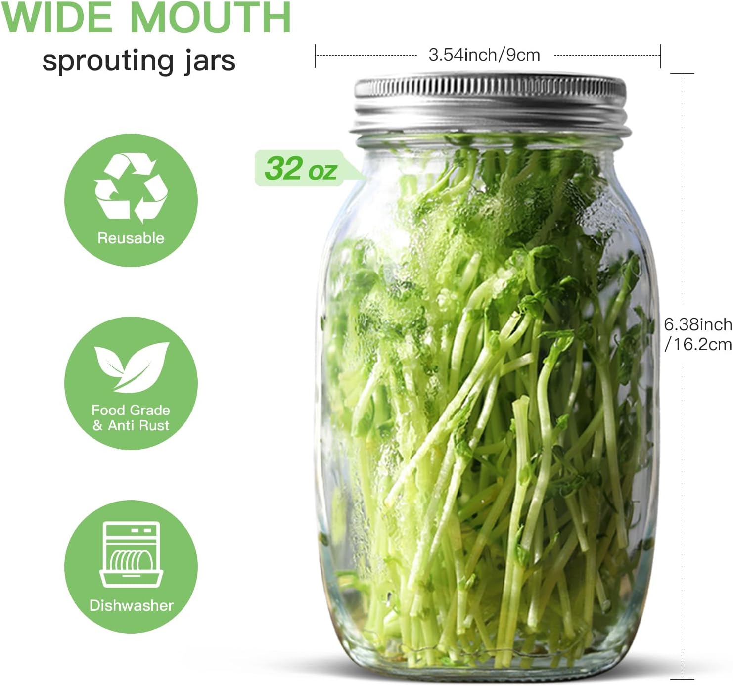 RAYPLE Sprouting Jar Kit, 2 Wide Mouth Mason Jars, Premium Stainless Steel Screen Sprout Lids, Blackout Sleeves, Tray, Stand, Sprouting Kit for