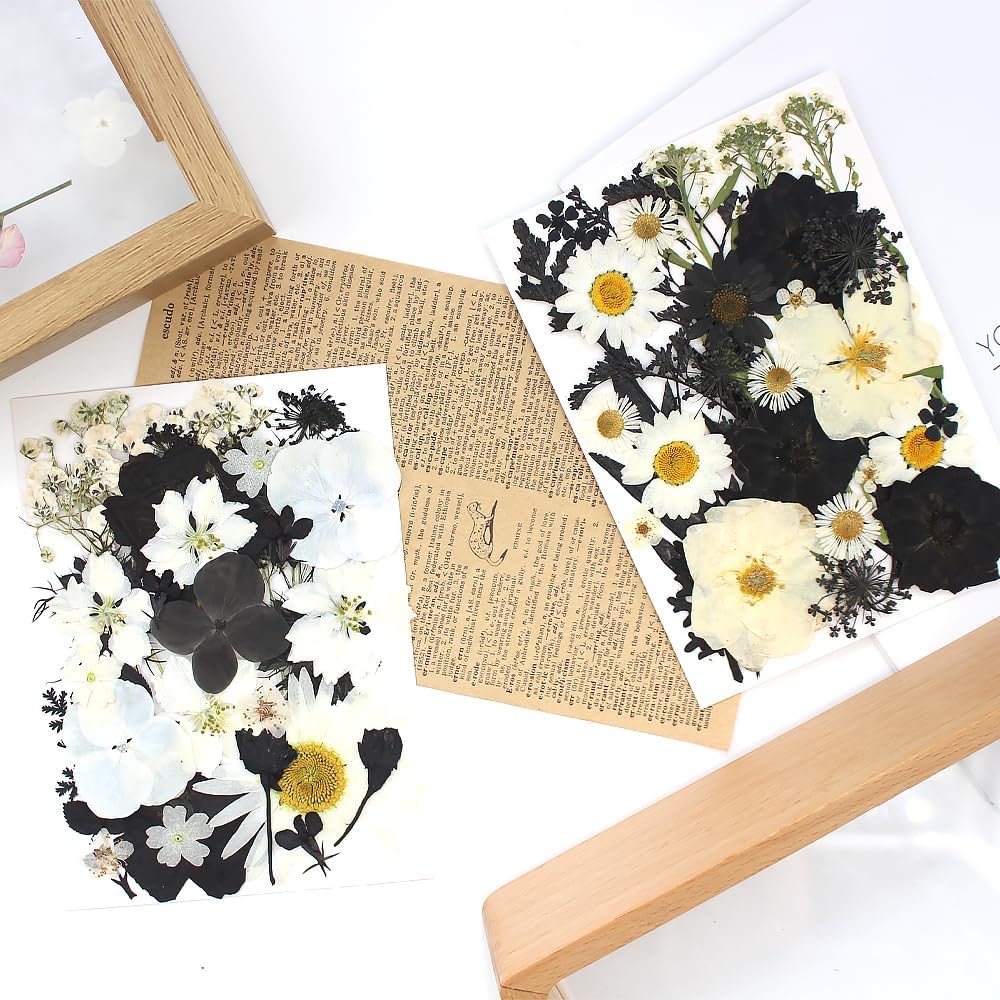 Buzidao Flores secas prensadas, más de 60 piezas de flores prensadas naturales para resina, arte de uñas, álbumes de recortes, velas, tarjeta de
