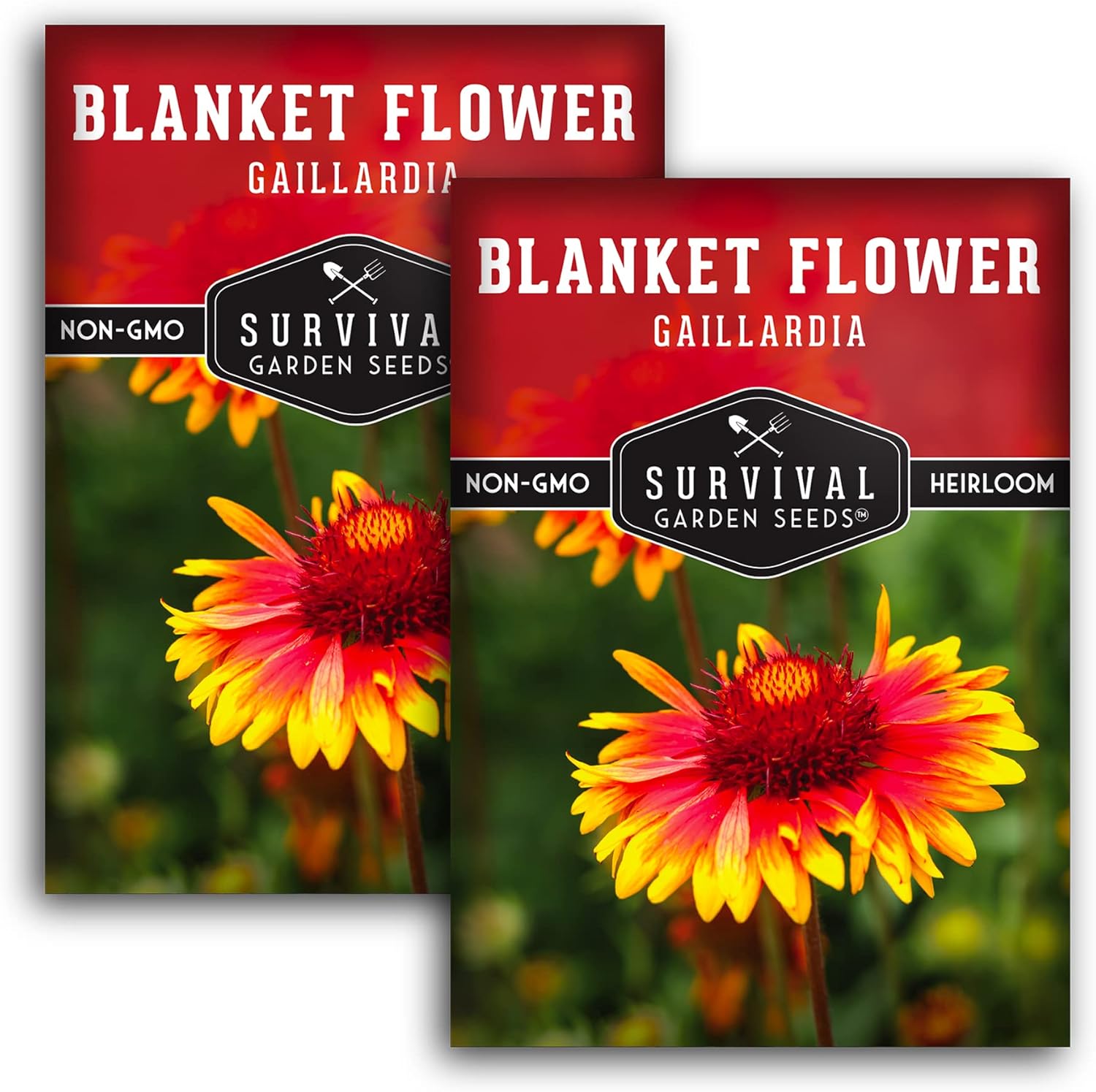 Survival Garden Seeds – Semillas de flores para plantar – 2 paquetes con instrucciones para plantar y cultivar Gaillardia Pulchella en tu huerto