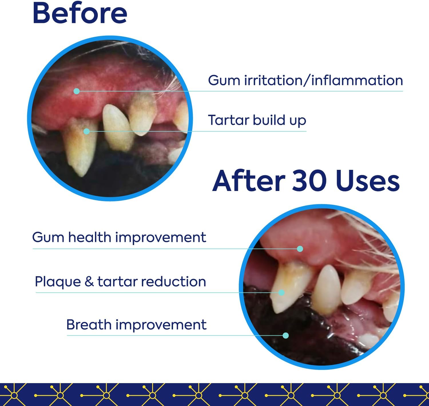 TEEF for Life Protektin42 aditivo de agua dental derivado de plantas para perros, cuidado dental diario, fórmula clínicamente probada que combate