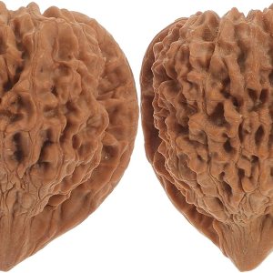 Healifty Pelotas de entrenamiento para ejercicio, 2 unidades, bolas de madera Baoding, bolas de ejercicio en forma de nogal, bolas de estrés, puntos Healifty Pelotas de entrenamiento para ejercicio, 2 unidades, bolas de madera Baoding, bolas de ejercicio en forma de nogal, bolas de estrés, puntos