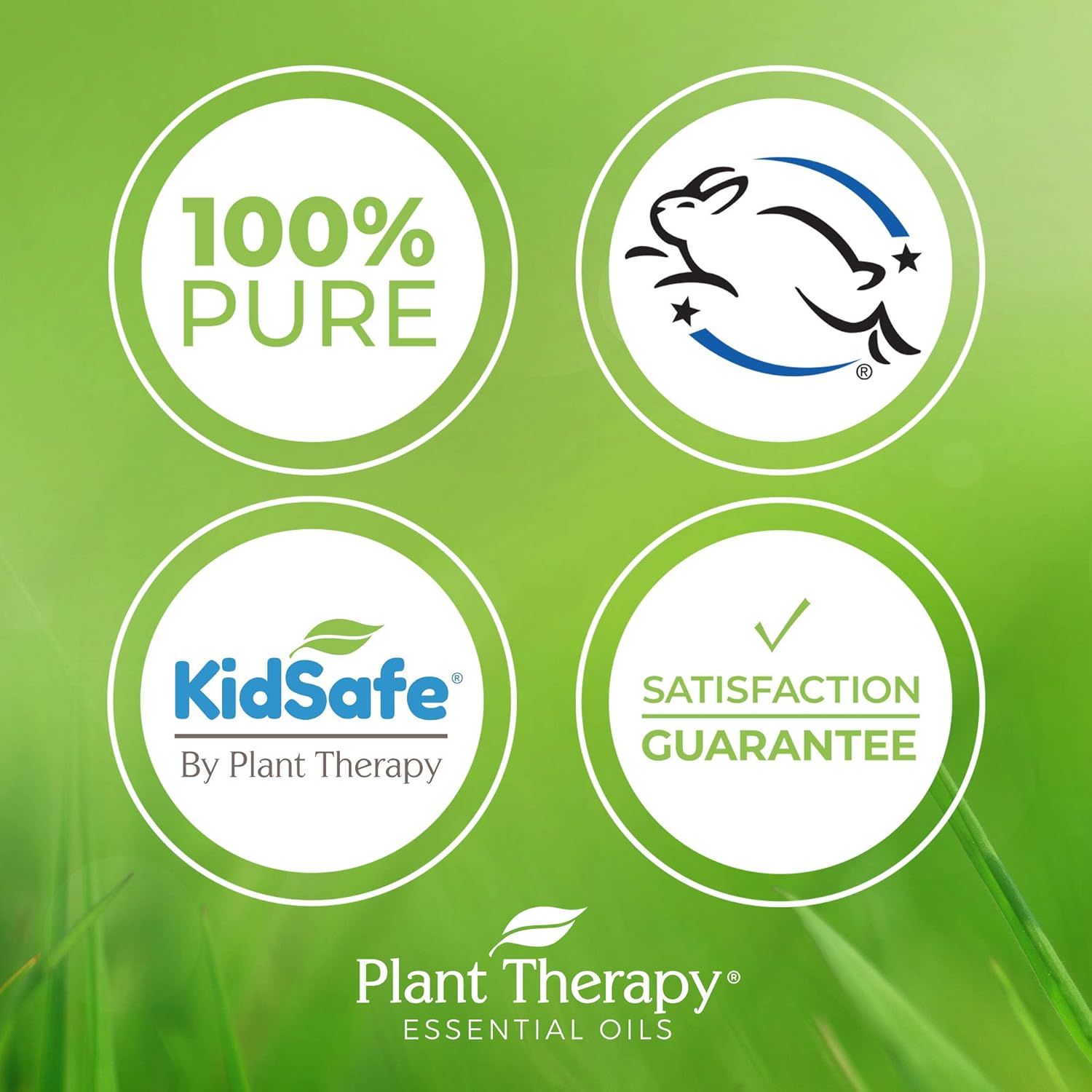 Plant Therapy KidSafe A+ Attention Aceite esencial sinergético prediluido. Mezcla de Petitgrain, Bergamota, cedro del Atlas, toronja, lavanda y