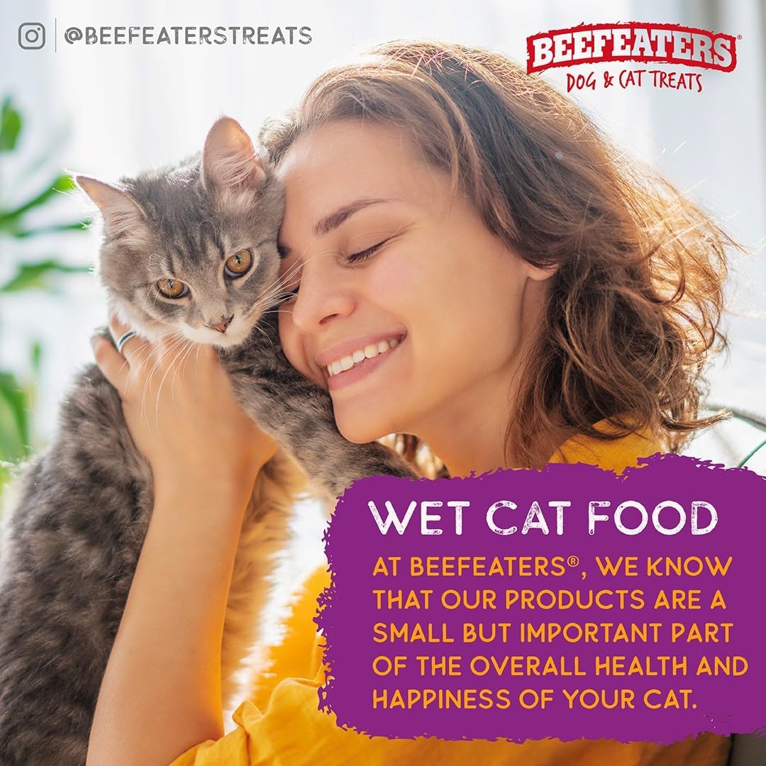 Beefeaters Comida húmeda de paté de salmón para gatos, 3 onzas, 24 unidades