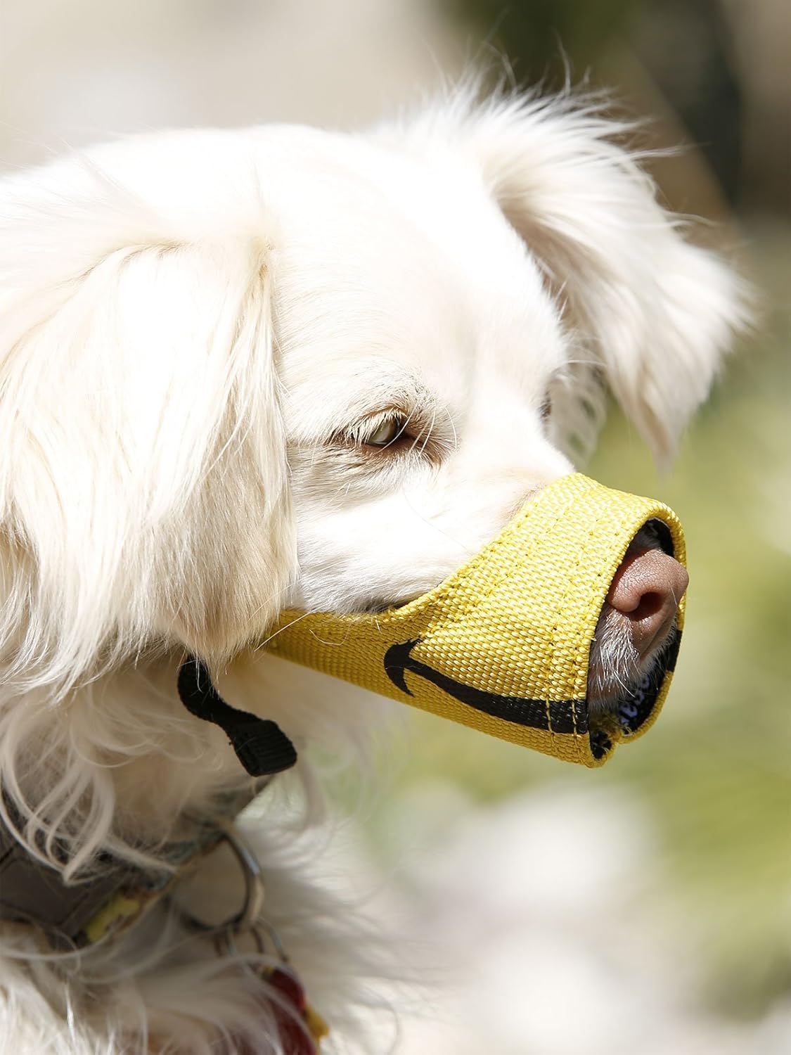 Cesar Millan Bozal divertido, Smiley (talla 1, amarillo)