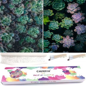 CHUNXIA Pintura por números para adultos, principiantes y niños, paquete de 2 lienzos enrollados de arte de pared, kit de pintura fácil por números, CHUNXIA Pintura por números para adultos, principiantes y niños, paquete de 2 lienzos enrollados de arte de pared, kit de pintura fácil por números,