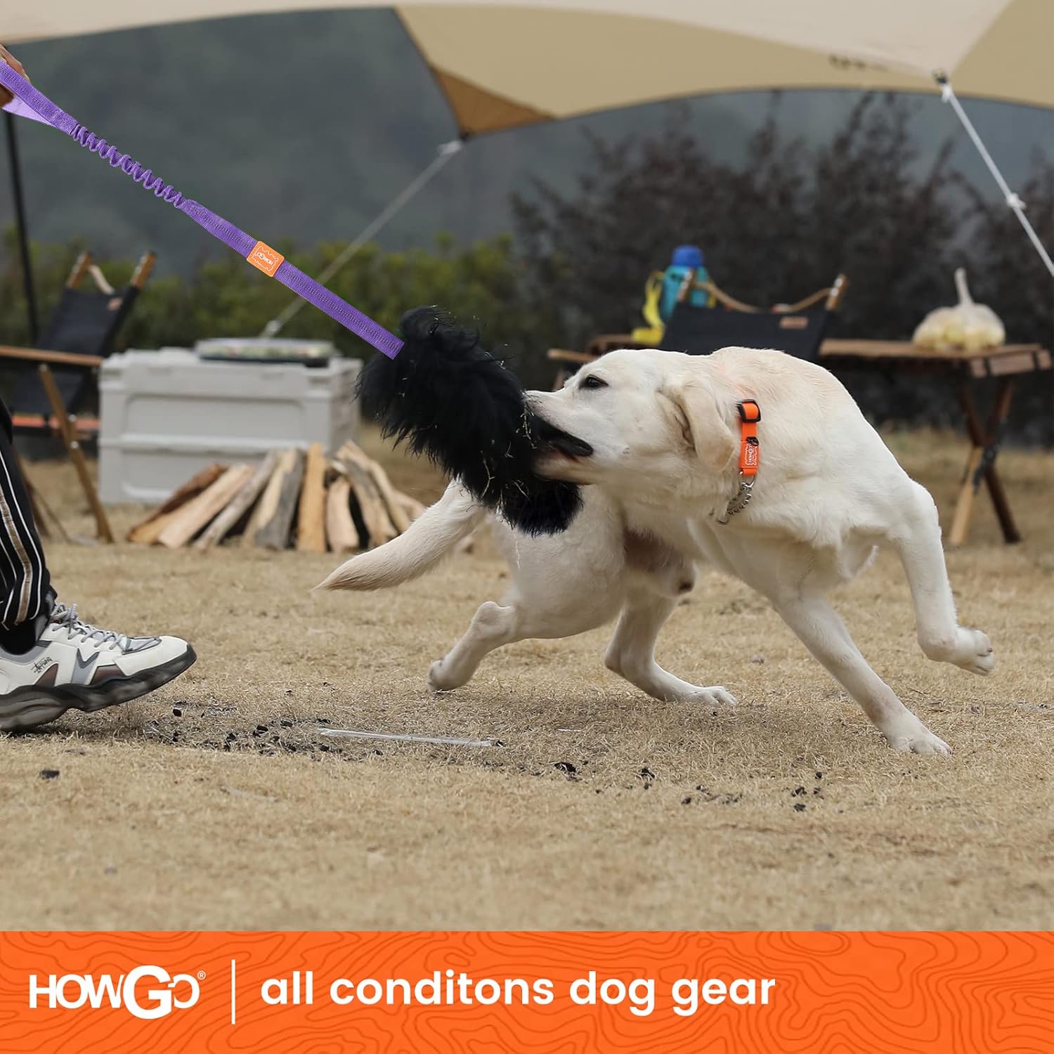 HOWGO Juguete de cuerda para perro, juguete Bungee Chaser 100% piel de oveja, juguete de remolcador con olor de oveja para todas las razas (morado,