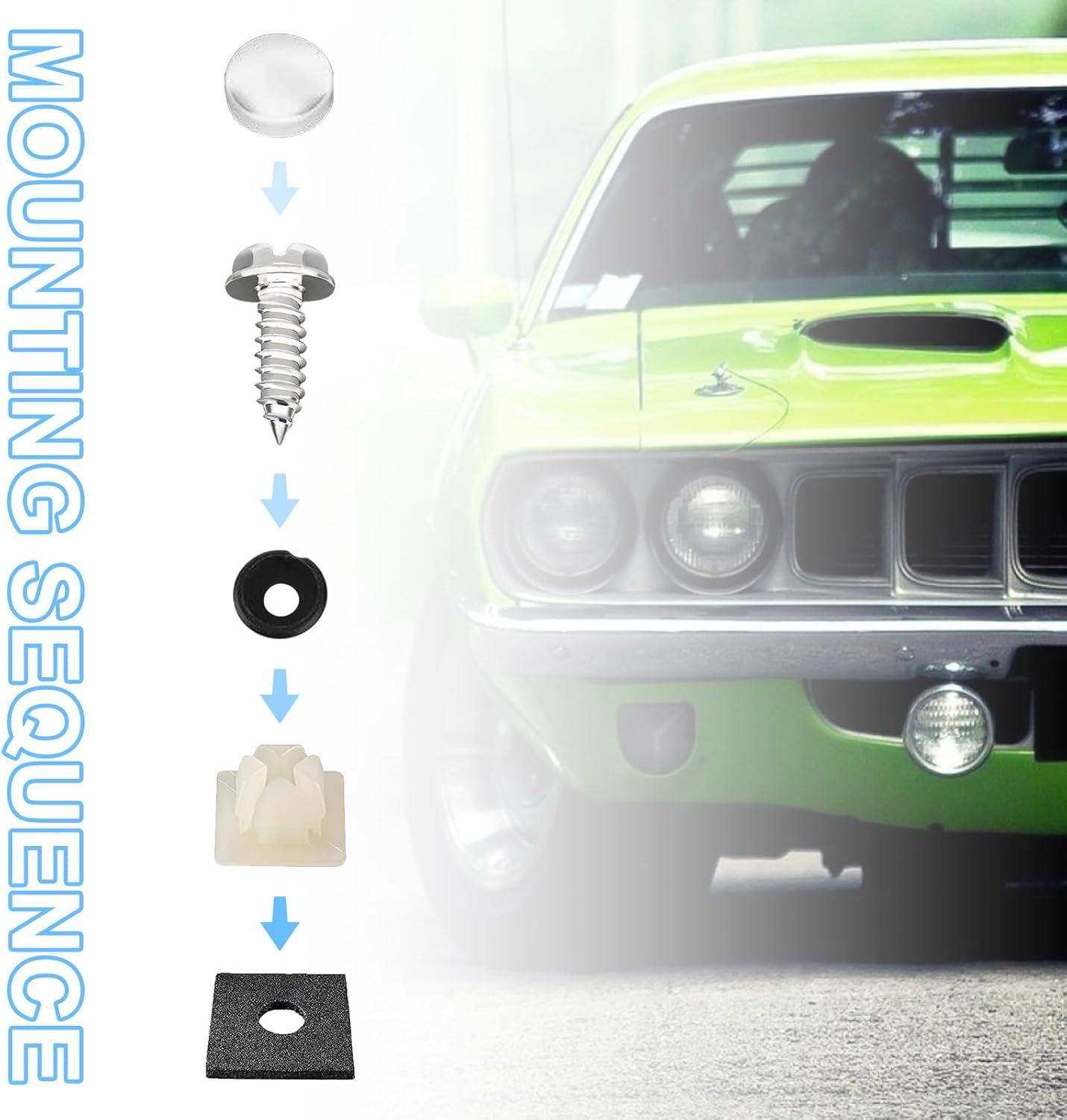 Kit de tornillos para placa de matrícula a prueba de óxido, kit de tornillos de acero inoxidable antirrobo para automóvil, pernos de montaje
