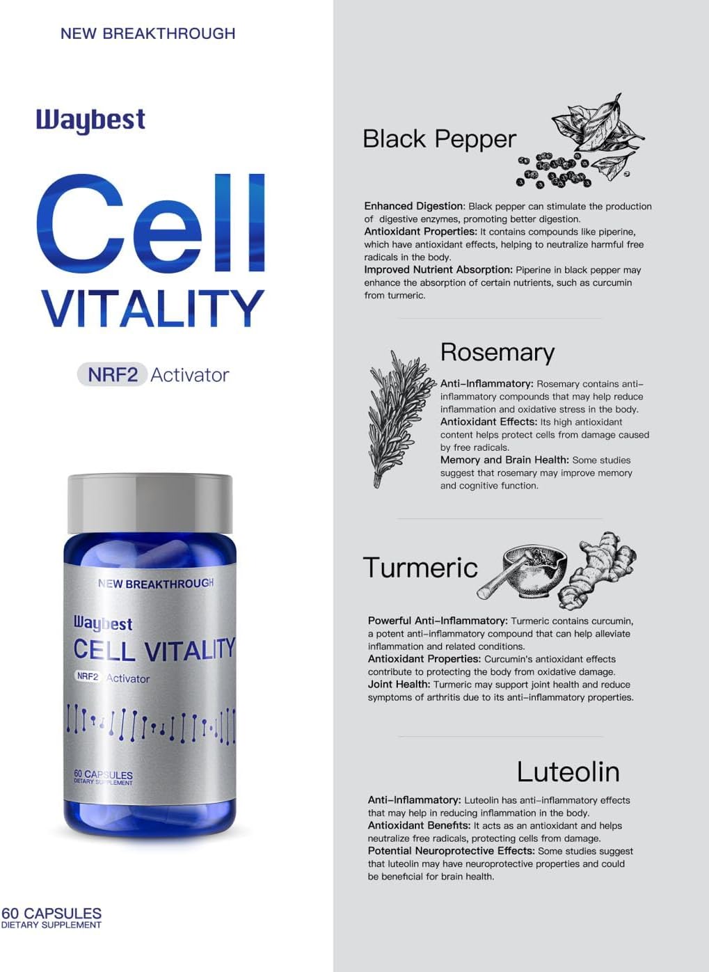 60 cápsulas veganas activador NRF2  Suplementos antioxidantes, lucha para reducir el estrés oxidativo en un 40% en 30 días, mezcla de 5 ingredientes